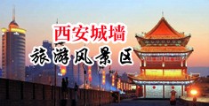 黄片鸡把中国陕西-西安城墙旅游风景区