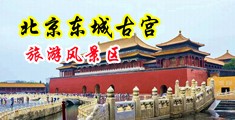 大鸡巴肏逼影视中国北京-东城古宫旅游风景区